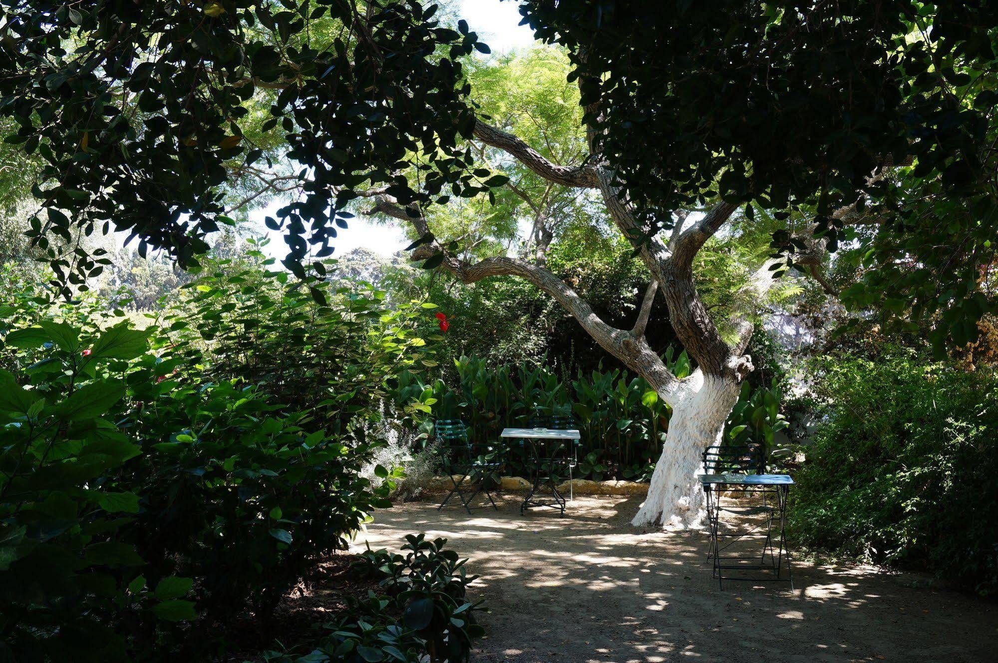 Archontiko Angelou Hotel Alinda  Buitenkant foto